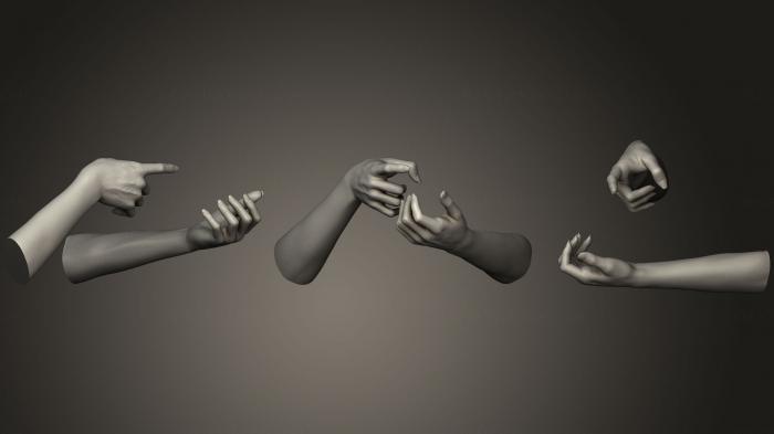 نموذج ثلاثي الأبعاد لآلة CNC تشريح الهياكل العظمية والجماجم أيدي النساء 17